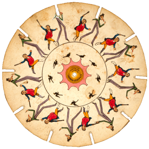 Cycle de la transmigration